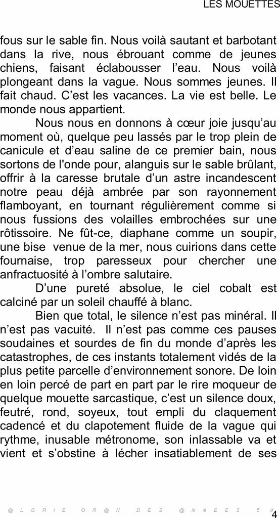 Les mouettes2 (3).jpg